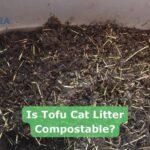 Is Tofu Cat Litter Compostable