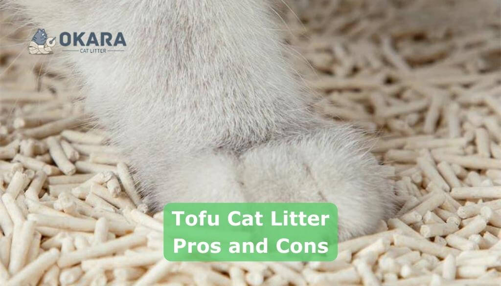 Tofu Cat Litter Pros and Cons